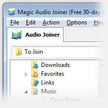 Magic Audio Joiner